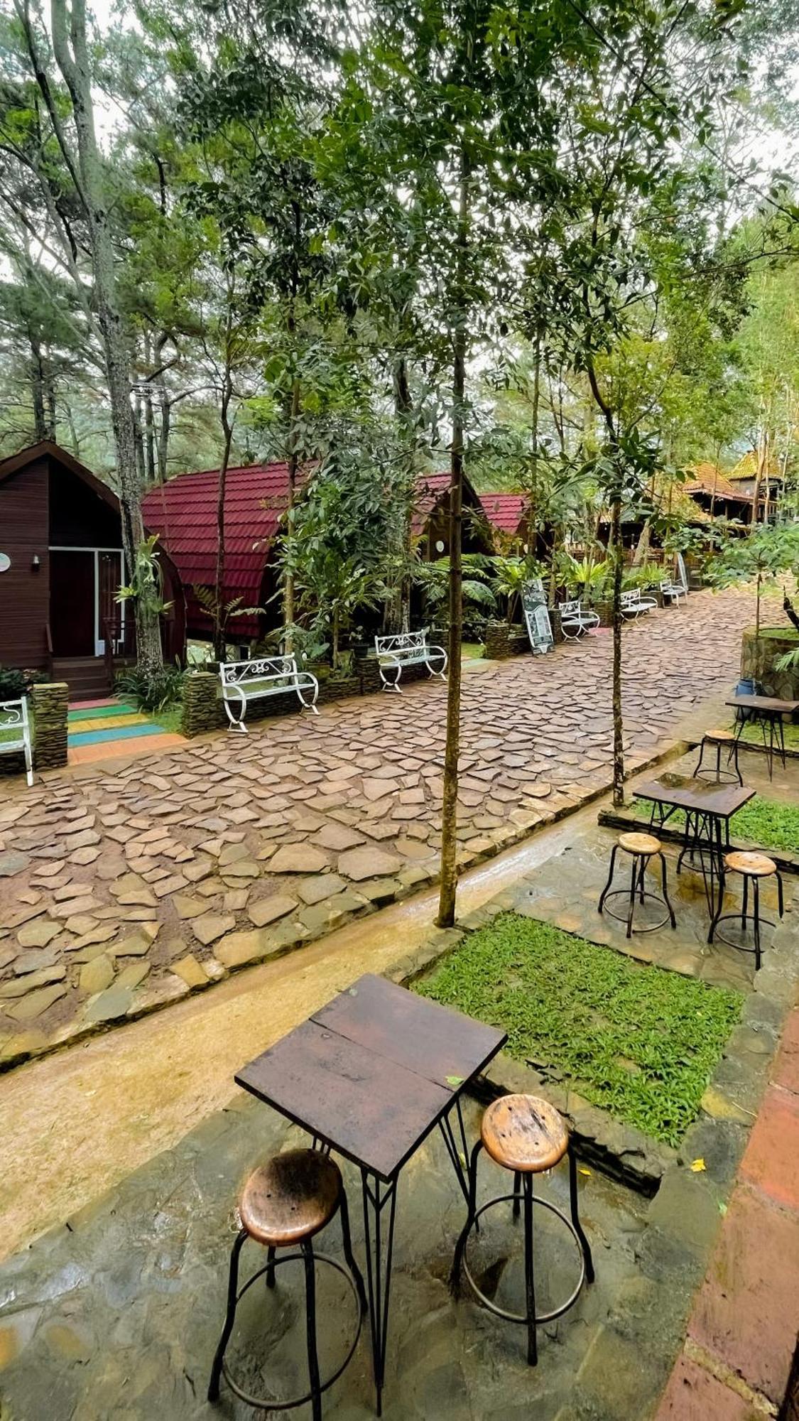 Hotel Pijar Powered By Cocotel